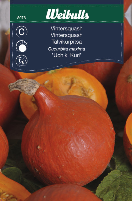 Gresskar ´Uchiki Kuri`
